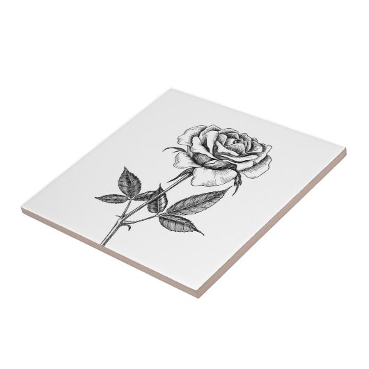 Roos tekenen tegeltje (Zijkant)