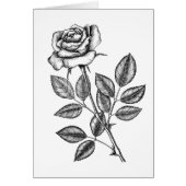 Roos tekening 2 (Voorkant)