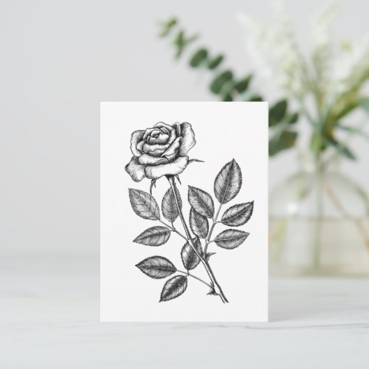 Roos tekening 2 briefkaart (Staand voorkant)