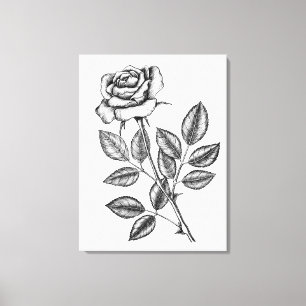 Roos tekening 2 canvas afdruk