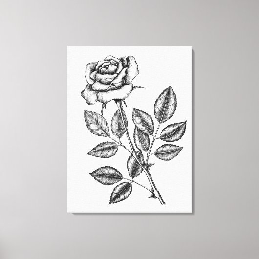 Roos tekening 2 canvas afdruk (Voorkant)
