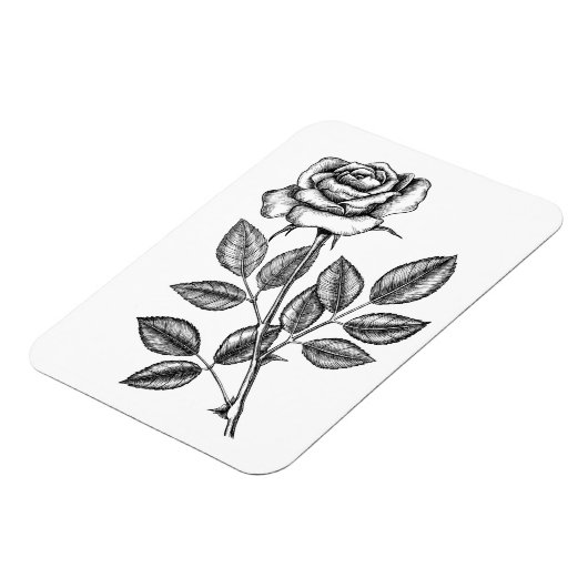 Roos tekening 2 magneet (Linkerzijde)