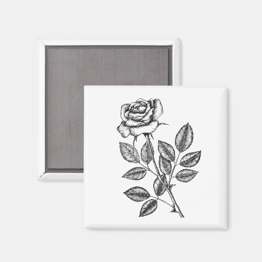 Roos tekening 2 magneet (Voorkant / Achterkant)