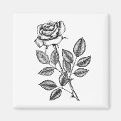 Roos tekening 2 magneet (Voorkant)