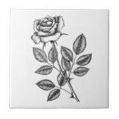 Roos tekening 2 tegeltje (Voorkant)