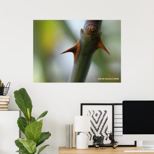 Roos Thorns Poster (Thuiskantoor)