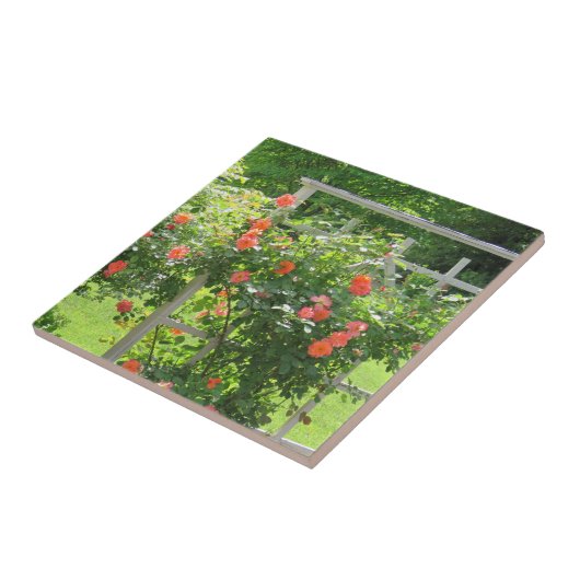 Roos Tile Westerland Coral Tegeltje (Zijkant)