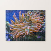 Roos Tip Anemone Legpuzzel (Horizontaal)
