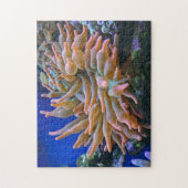 Roos Tip Anemone Legpuzzel (Verticaal)
