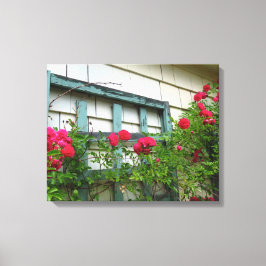 Roos Trellis - Martha's wijngaard Canvas Afdruk