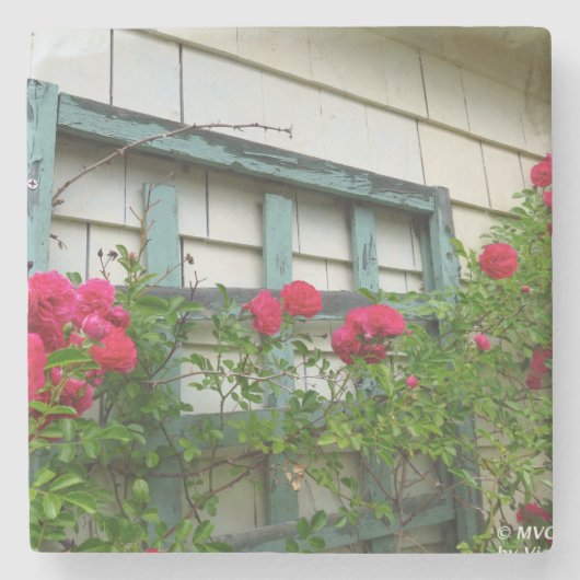 Roos Trellis - Martha's wijngaard Stenen Onderzetter (Voorkant)