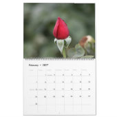 roos tuin 2023 kalender (Feb 2027)