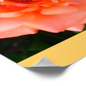 Roos Tuin Mod Chic Classy Bloemen Bloemen Poster (Hoek)