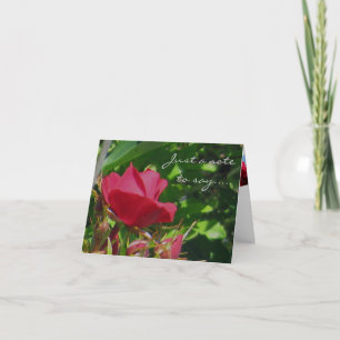 Roos Tuin Note Kaart