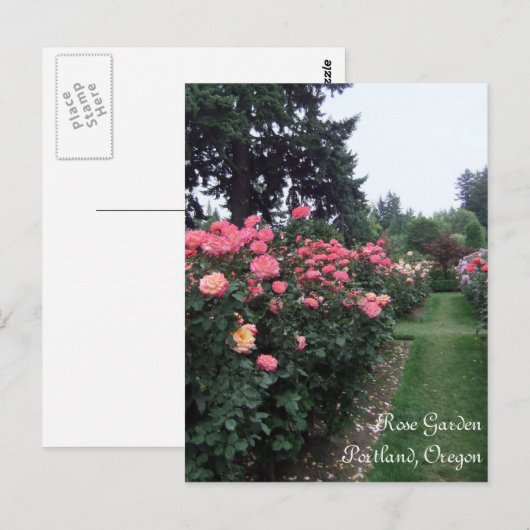 Roos tuin/Portland Oregon Briefkaart (Voorkant / Achterkant)