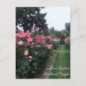 Roos tuin/Portland Oregon Briefkaart (Voorkant)