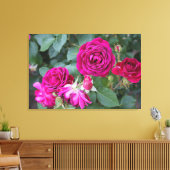 Roos Tuin Uitgerekt Canvas Print (Insitu (Woonkamer))