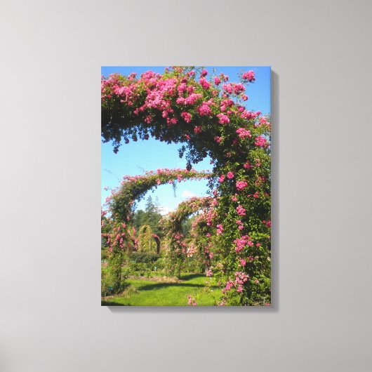 Roos Tuinbogen van Elizabeth Park Canvas Print (Voorkant)