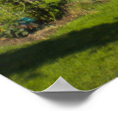 Roos Tuinkerken van Elizabeth Park Poster (Hoek)