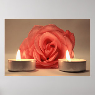 roos twee roze kaarsen foto poster