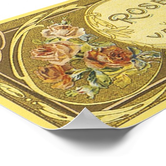 Roos Vaissier Paris Poster (Hoek)