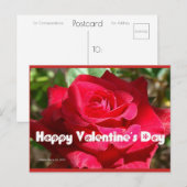 Roos Valentijnsdag | Blue Beach Song™-Briefkaart Briefkaart (Voorkant / Achterkant)