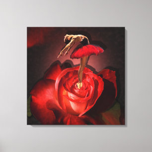 Roos van Ballerina - Gewatteerd Canvas Afdruk