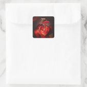 Roos van Ballerina - Stickers (Tas)