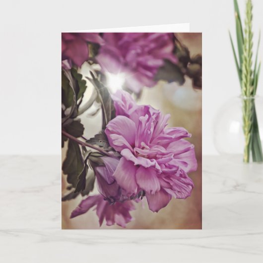 Roos van de Aantallen van de Kaart van de Manuscri (Voorkant)