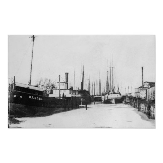 Roos van de Grote Meren D.F. en Tempest Foto Afdruk (Voorkant)