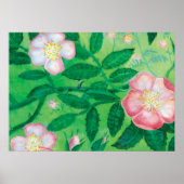 Roos van de hond (Rosa Canina) Poster (Voorkant)