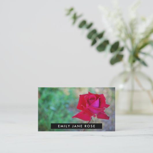 Roos van de Rode Crimson, grieskunde Visitekaartje (Staand voorkant)