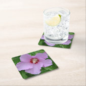 Roos van het Onderzetter van Sharon (Insitu)