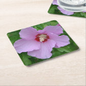 Roos van het Onderzetter van Sharon (Schuin)