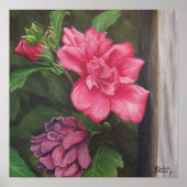 Roos van het Poster Sharon (Voorkant)