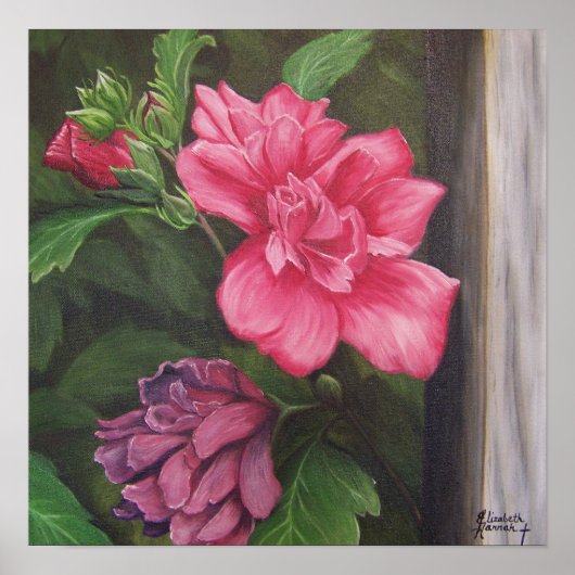 Roos van het Poster Sharon (Voorkant)