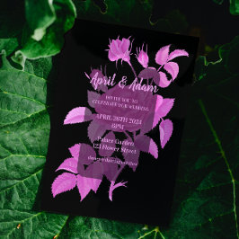 Roos van het type Black and Hot Pink Kaart