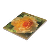 Roos van honingparfum tegeltje (Zijkant)