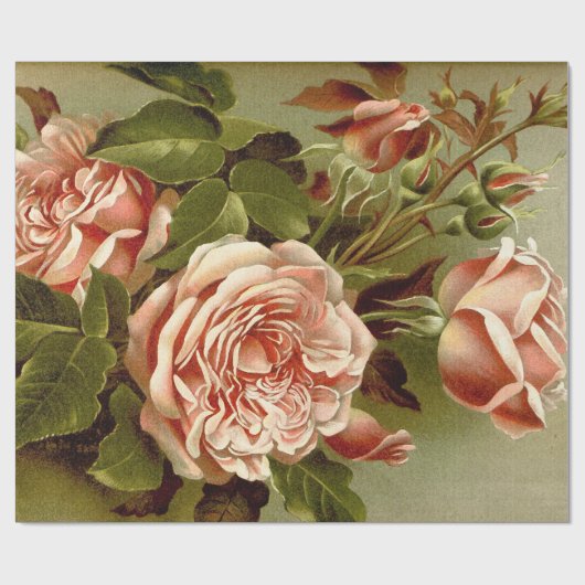 Roos van kool cadeaupapier (Vlak)