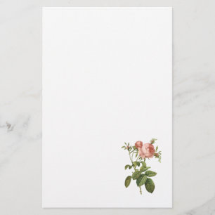 roos van kool (Rosa centifolia foliacea) van Redou Briefpapier