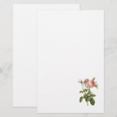 roos van kool (Rosa centifolia foliacea) van Redou Briefpapier (Voorkant / Achterkant)