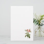 roos van kool (Rosa centifolia foliacea) van Redou Briefpapier (Staand voorkant)