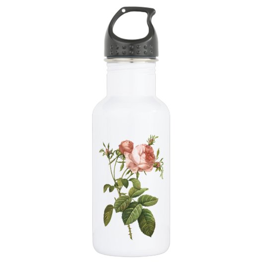 roos van kool (Rosa centifolia foliacea) van Redou Waterfles (Voorkant)