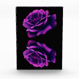 Roos van liefde fotoblokken