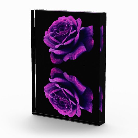 Roos van liefde fotoblokken (Rechts)