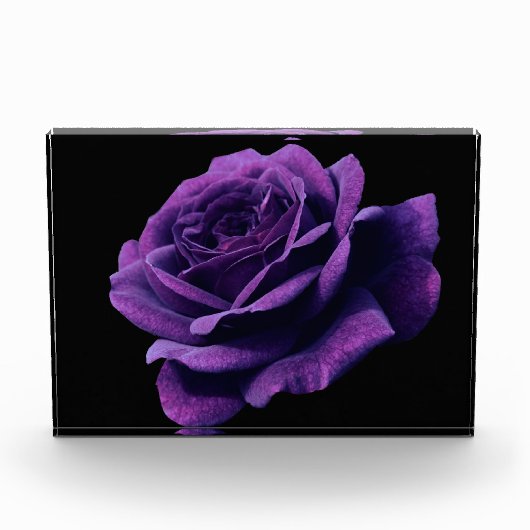 Roos van liefde fotoblokken (Voorkant)