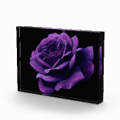 Roos van liefde fotoblokken (Rechts)