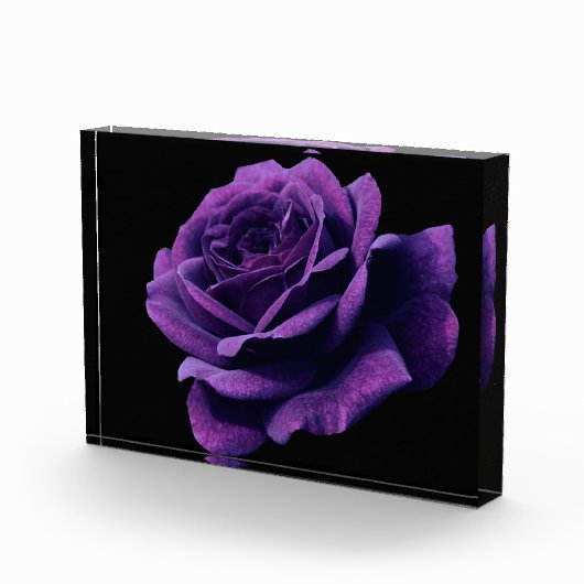 Roos van liefde fotoblokken (Rechts)