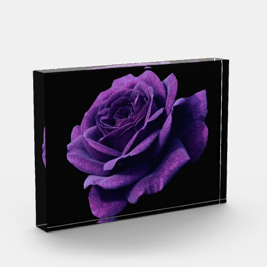 Roos van liefde fotoblokken (Links)