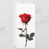 Roos van Liefde Kaart (Voorkant)